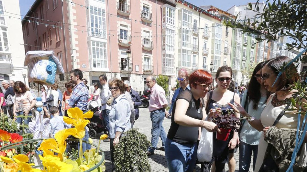 La Fiesta de las Flores celebrada el pasado año tuvo como gran aliado el buen tiempo.-RAÚL OCHOA