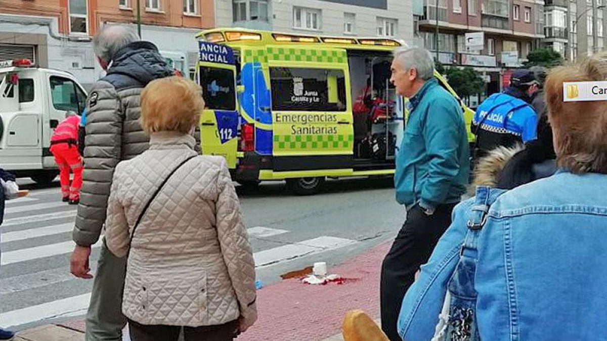 El accidente se produjo a la altura del 177 de la calle Vitoria.-ECB