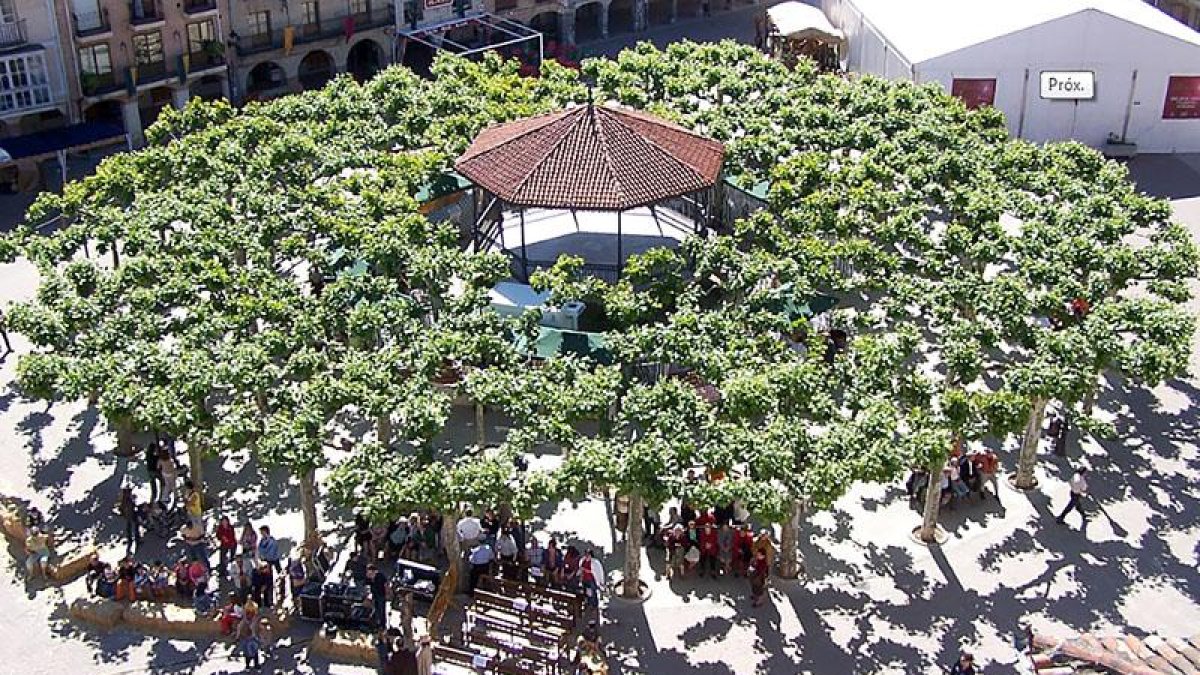 Vista General de la Plaza Mayor.-BELORADO.ES