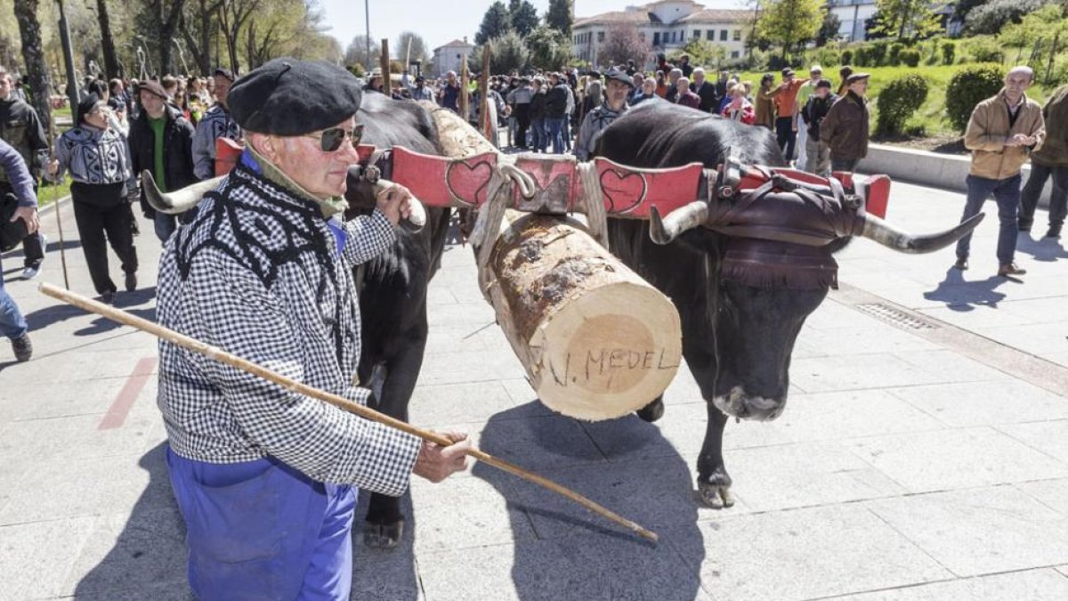 El ‘mayo’ es una de las cargas que portan las tres carretas con las que viajan, en las que llevan también cubas de brea, vigas y lana entre otras cosas.-S. O.