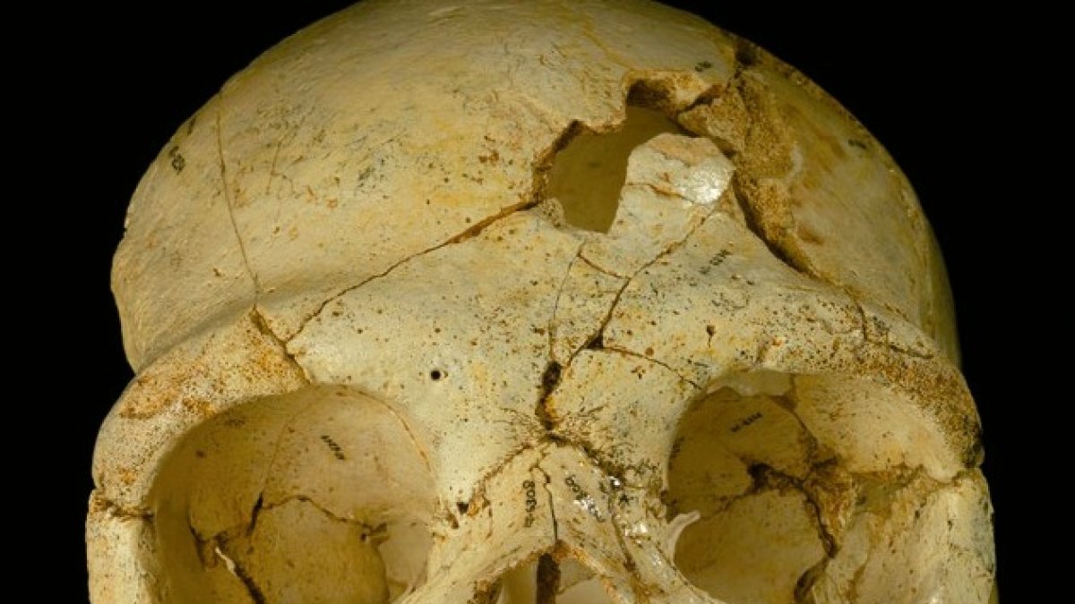 Las piezas canibalizadas más señeras de Atapuerca encontraron en Gran Dolina con entre 900.000 y 800.000 años de antigüedad.