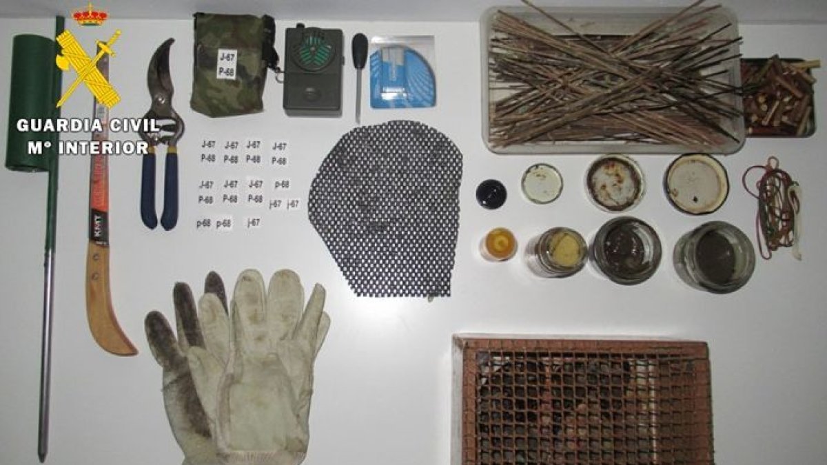 Captura ilegal de jilgueros en Las Merindades. ECB