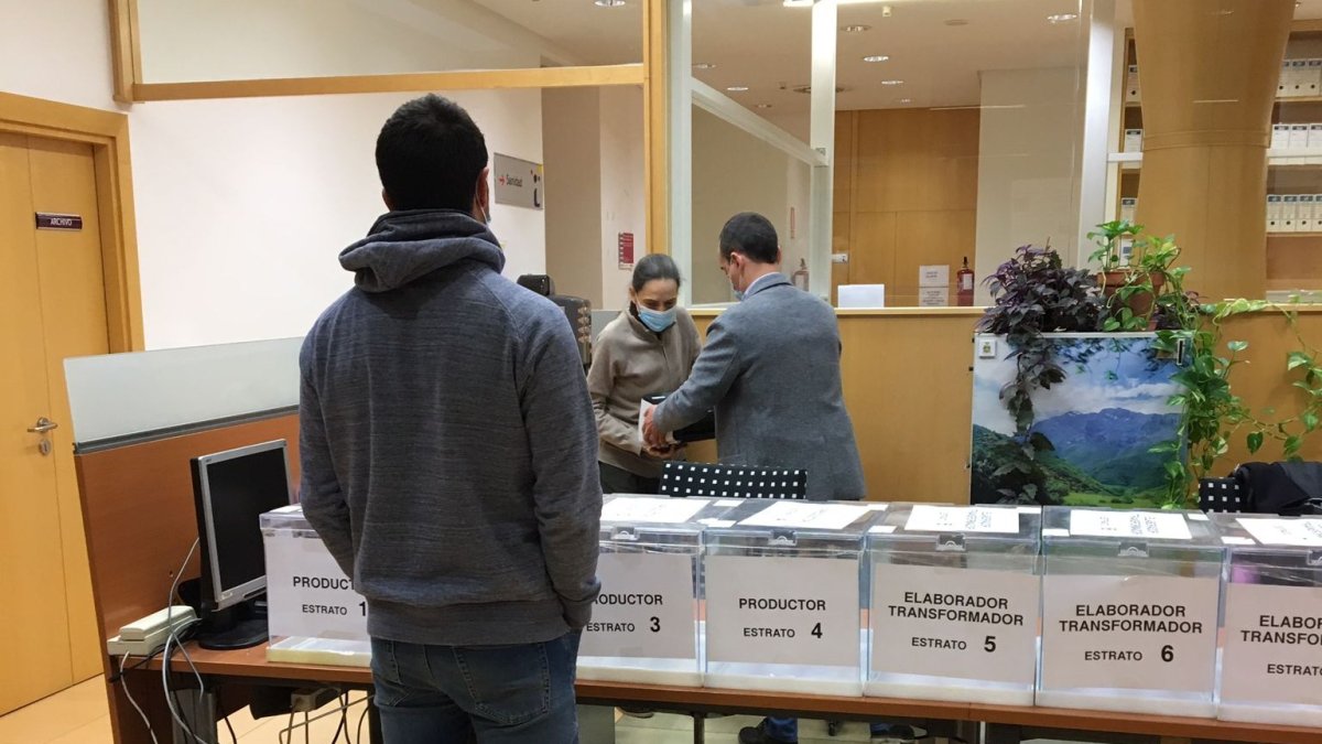 Los viticultores y bodegueros pueden acercarse aún a votar. ECB