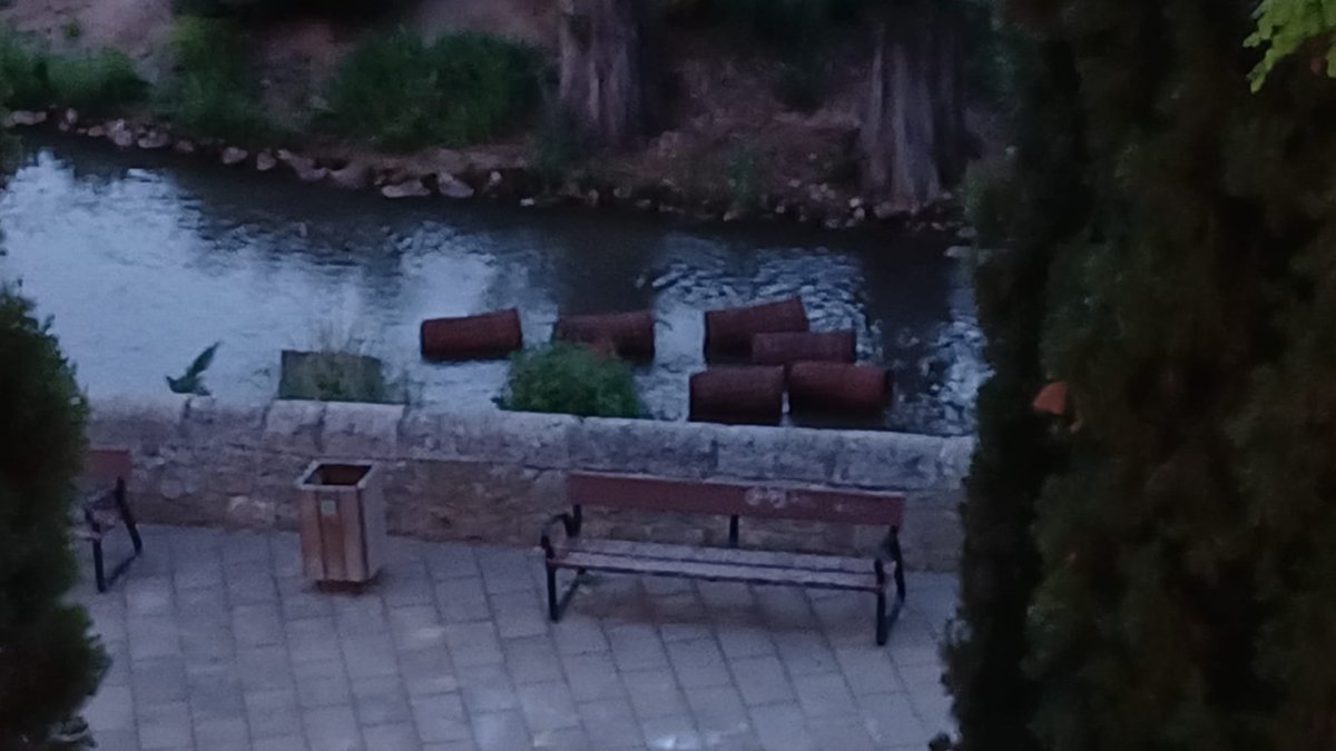 Imagen de los cestos. Diego Fernández Lobo