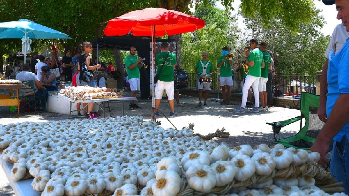 Mercado con el producto estrella de la Feria del Ajo de Castrojeriz. JAVIER ABRIL
