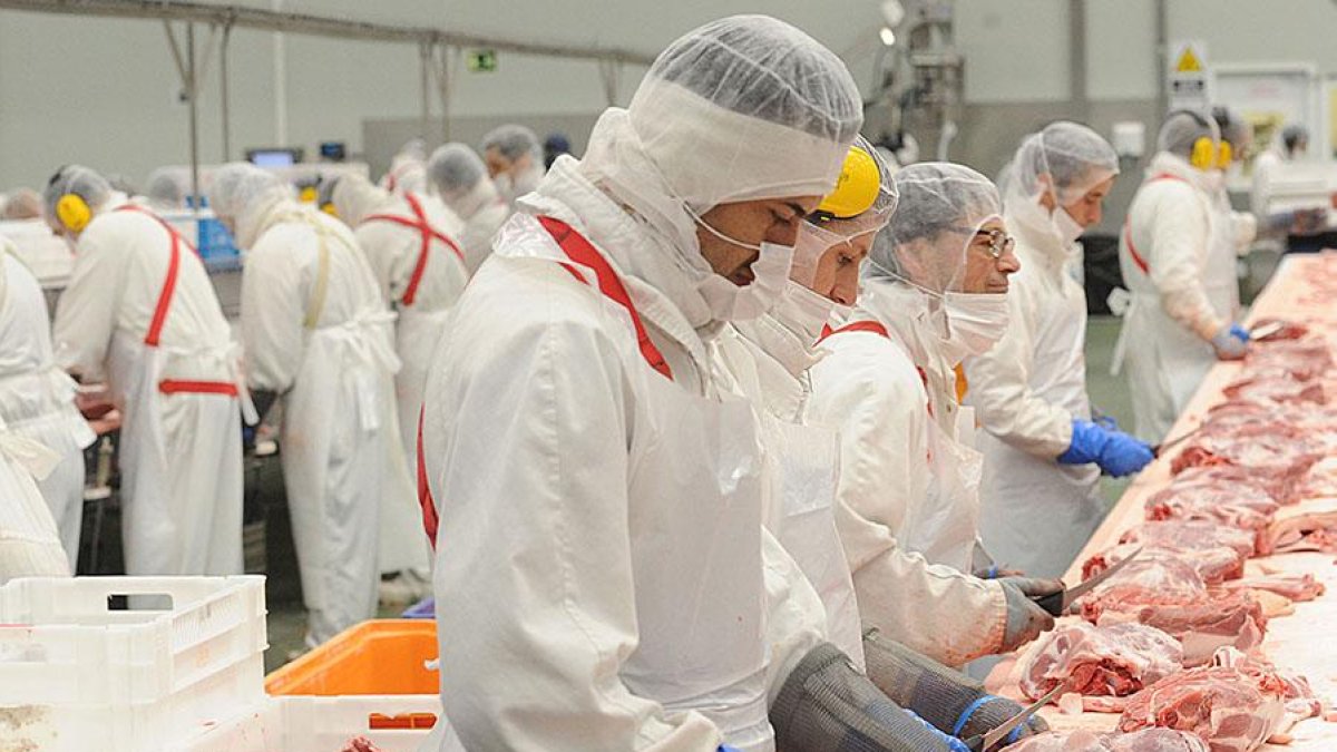 La industria ha formalizado en el último mes más de 3.000 contratos.-ISRAEL L. MURILLO
