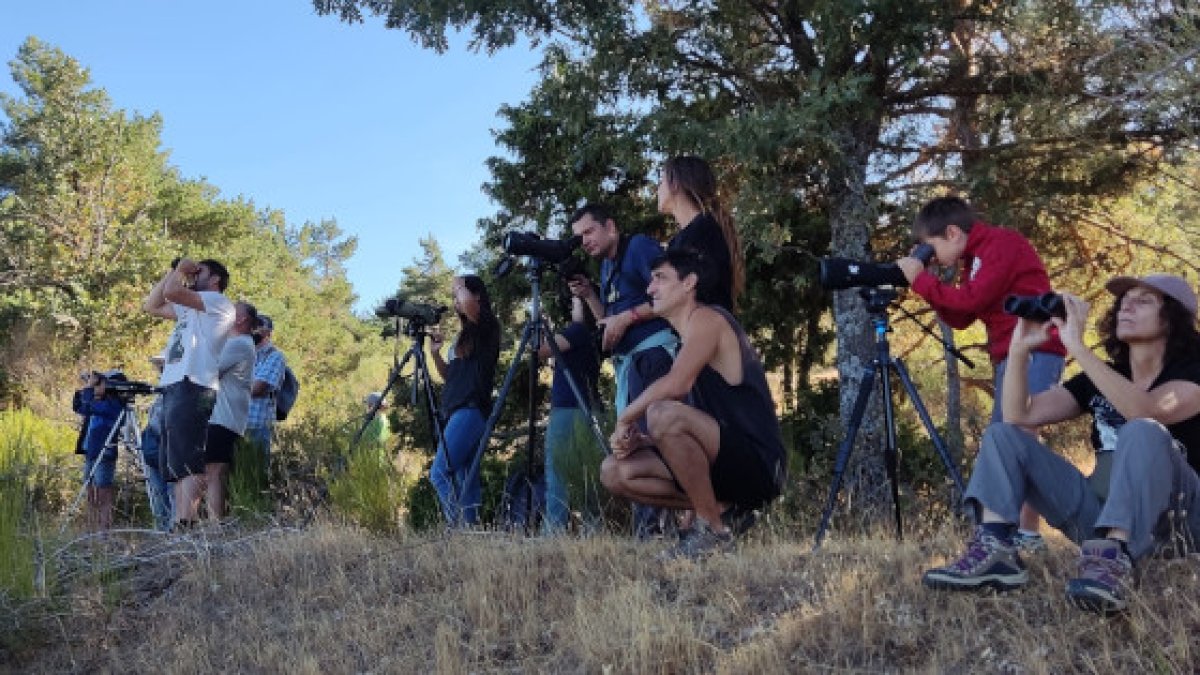 Participantes en una actividad de observación de buitres celebrada el viernes en Huerta de Arriba. GREFA