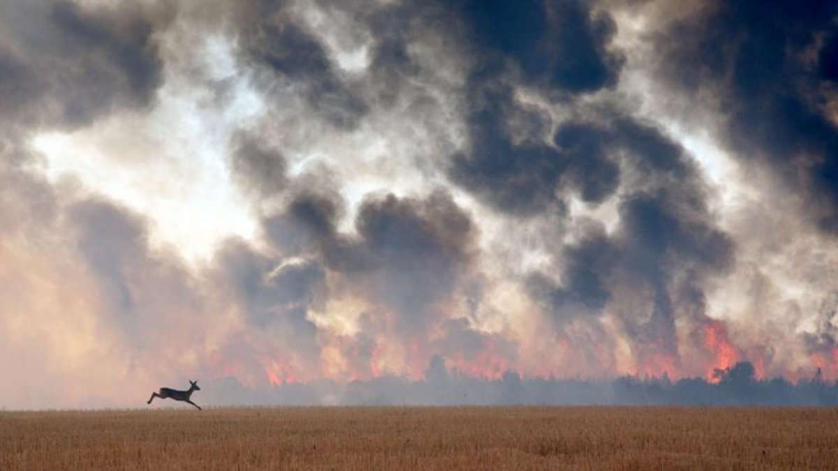 El incendio, en cuya extinción participaron 200 personas, provocó la huida de los animales que vivían en el monte y avisos a la población de tres pueblos.-M. A.