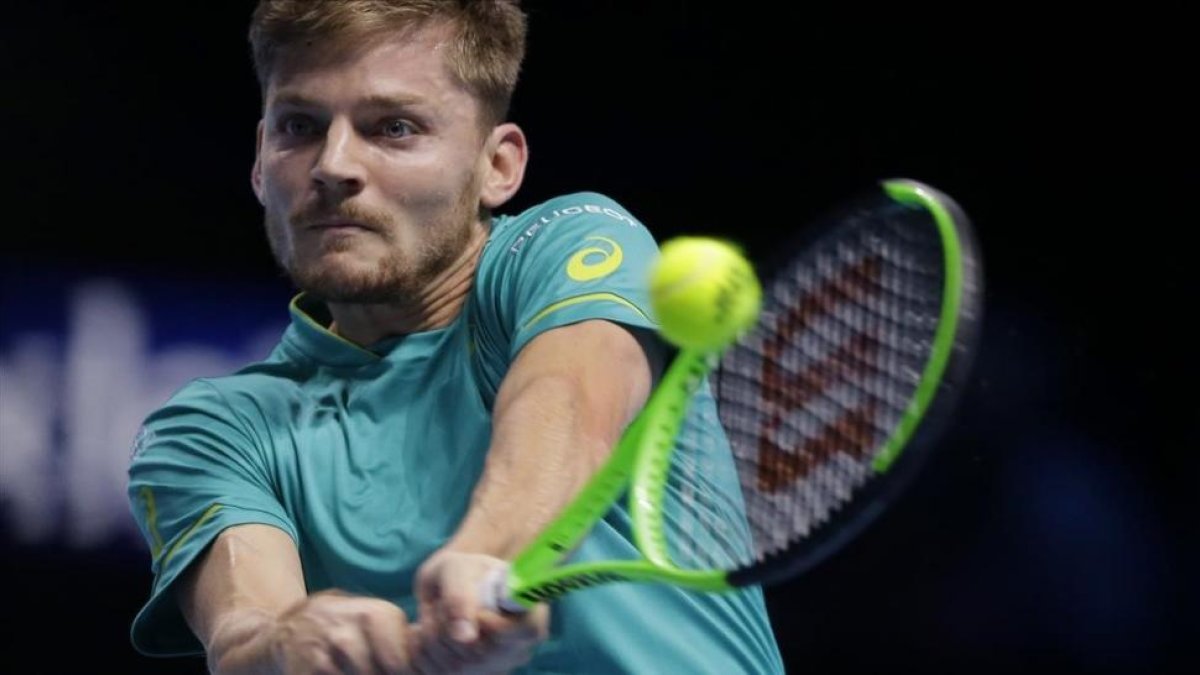 David Goffin.-AP / ALASTAIR GRANT