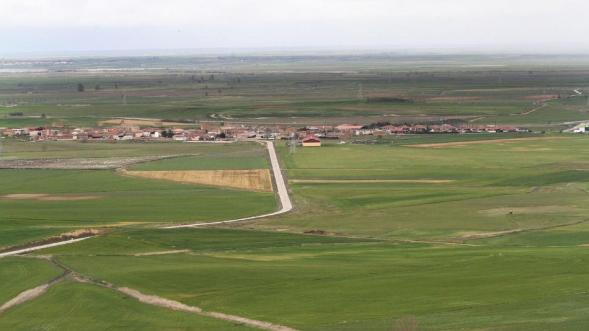 Campos de cereal en la provincia de Palencia.-BRÁGIMO