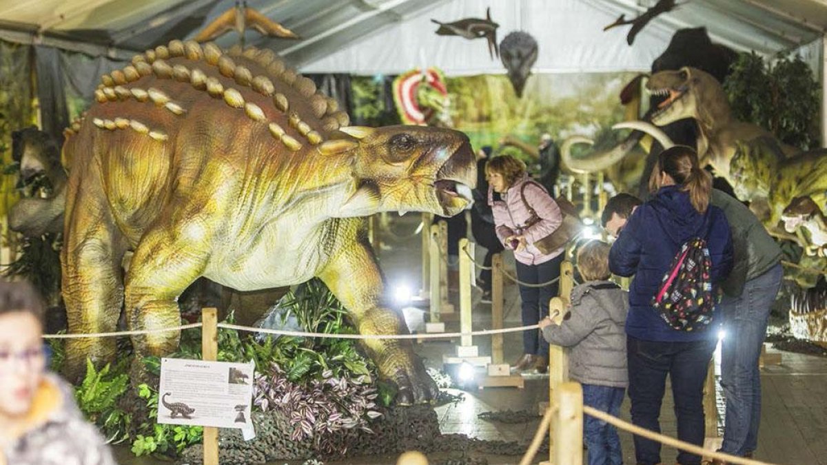 Los reptiles son de gran tamaño y están identificados en paneles que explican sus características.-ISRAEL L. MURILLO