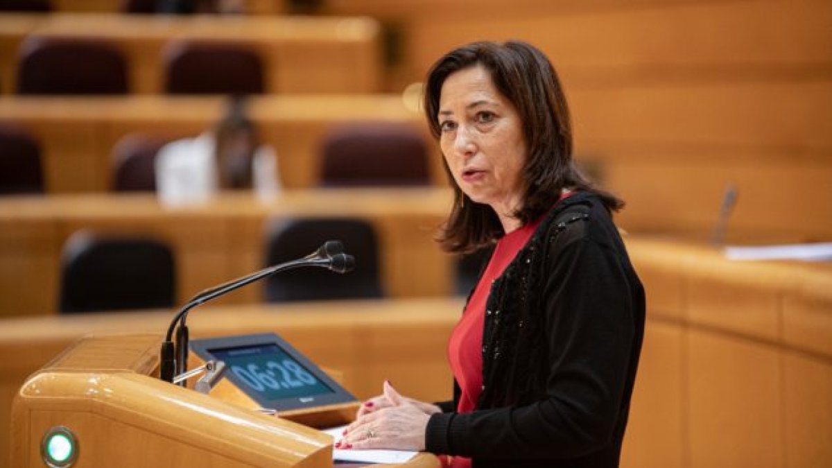 Mar Arnáiz durante una intervención en el Senado. PSOE