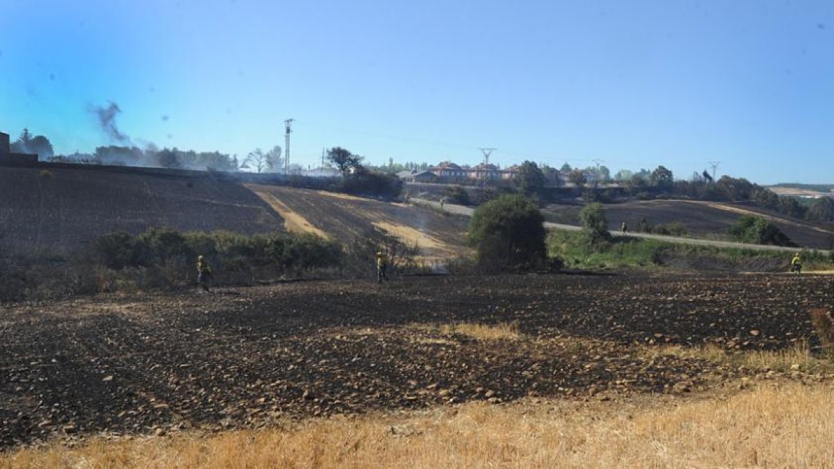 Los equipos de extinción trabajan en sofocar el incendio de Cardeñadijo.-ISRAEL L. MURILLO