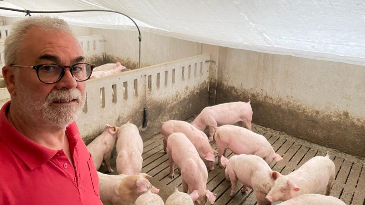 Bernardino González, en una de sus explotaciones de cerdos. E. M.