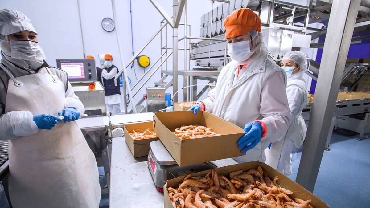 Empleadas en una empresa burgalesa dedicada al marisco. TOMÁS ALONSO