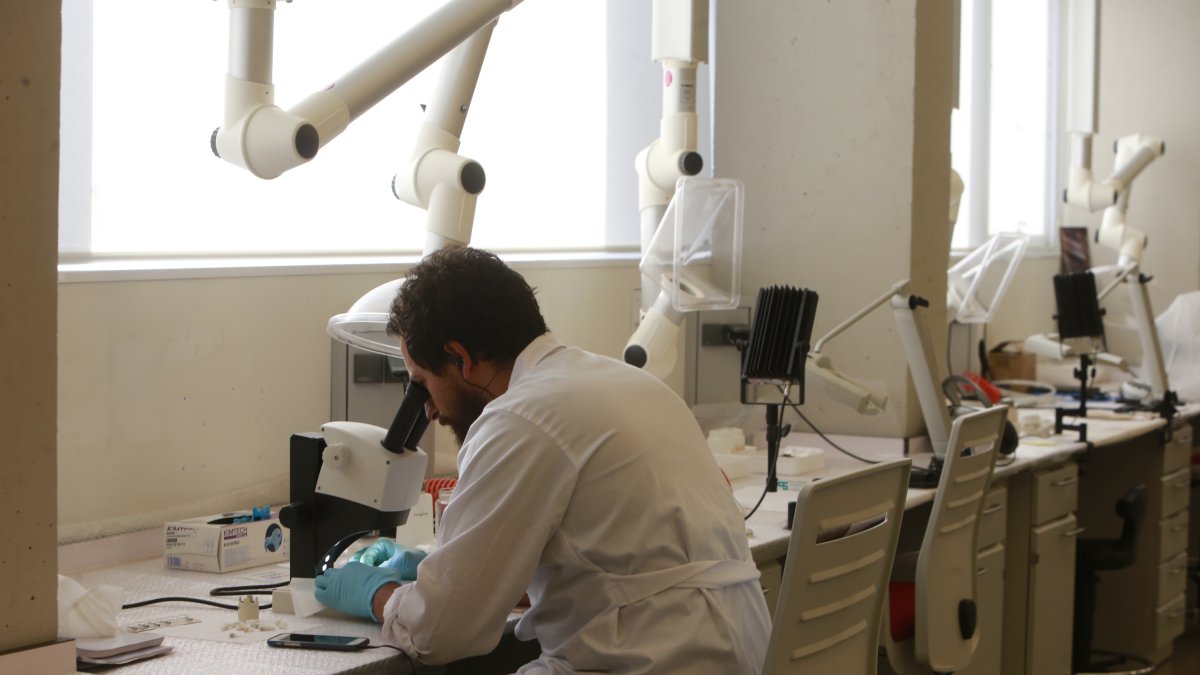 Científico analizando las piezas de una de las colecciones del Cenieh. RAÚL G. OCHOA