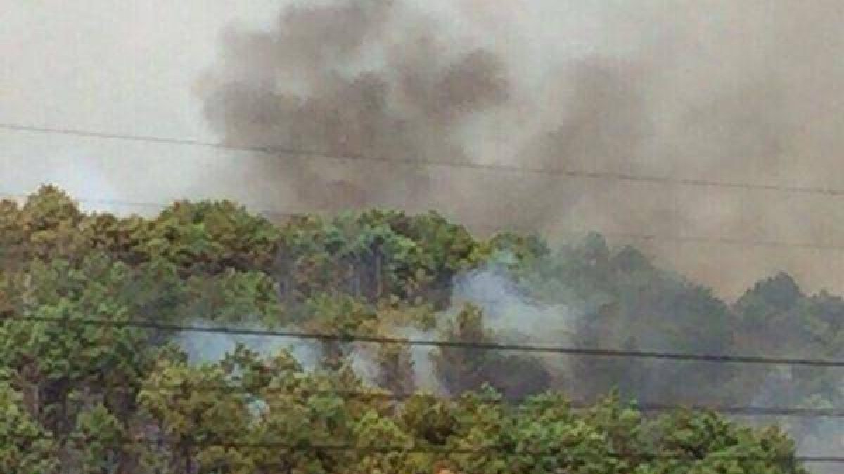 Imagen del incendio que llegó a la zona de pinar.-ECB