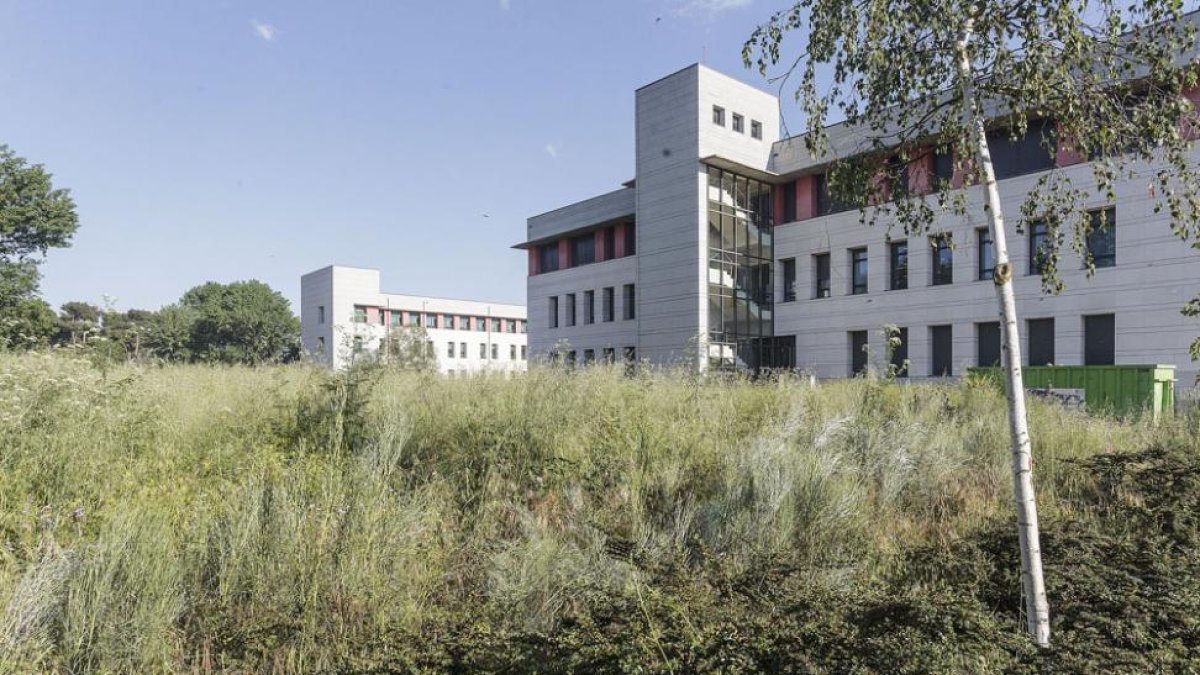 Este suelo está ubicado entre la Biblioteca de la UBU y el parque del Parral.-SANTI OTERO