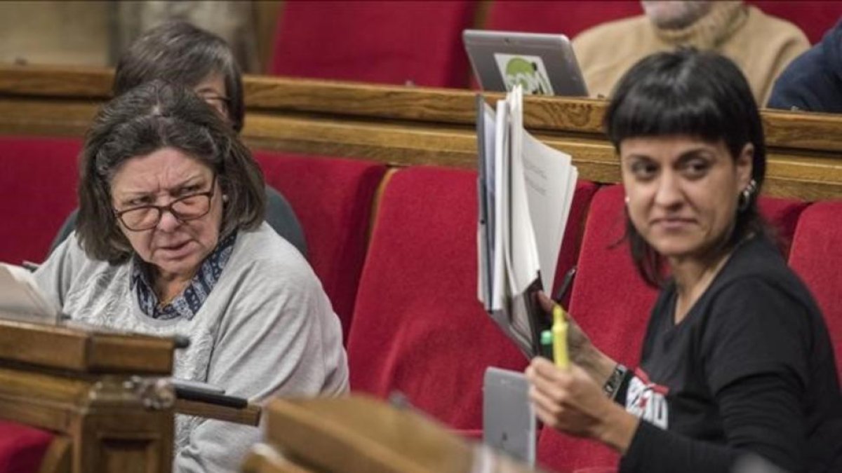 Las diputadas de la CUP, Gabriela Serra y Anna Gabriel, en el Parlament-FERRAN SENDRA