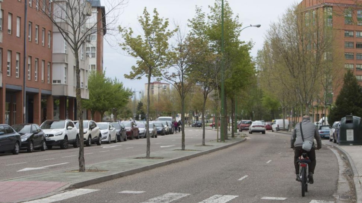 El atropello se ha registrado en la calle Obdulio Fernández. ECB