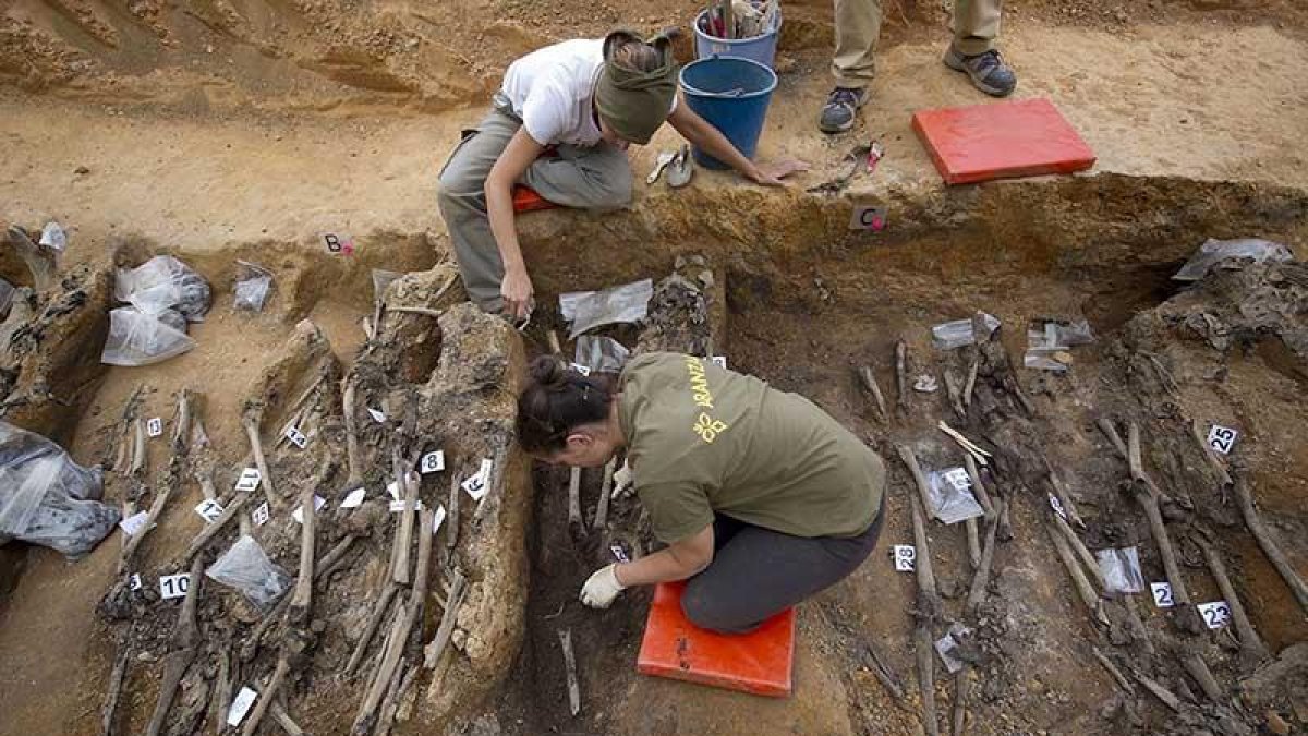 El equipo de Francisco Etxeberría, en 2010, trabajando  con sumo cuidado en la primera fosa que se abrió en La Pedraja en 2010 donde se encontraron los órganos preservados.-SANTI OTERO