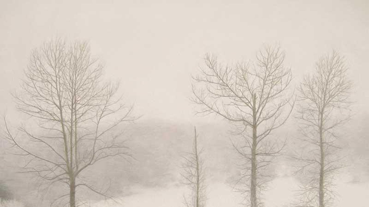 ‘Niebla’, óleo ganador del tercer premio del IX Concurso de Pintura La Rural de la Fundación Caja Rural de Jaén, que recoge hoy.-