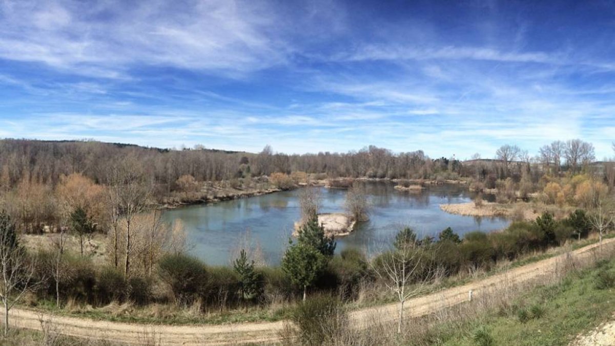 El humedal de Fuentes Blancas visto desde la cicunvalación de la A-1.