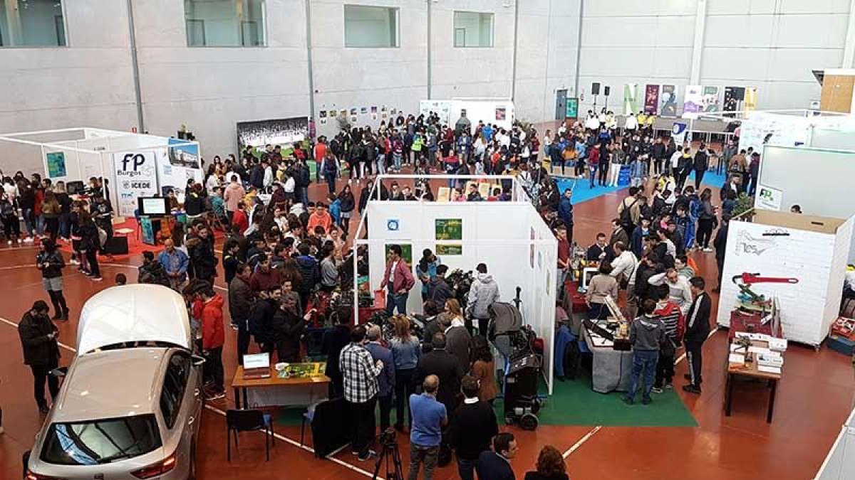 En la actualidad, esta opción formativa cuenta con 753 alumnos.-ECB
