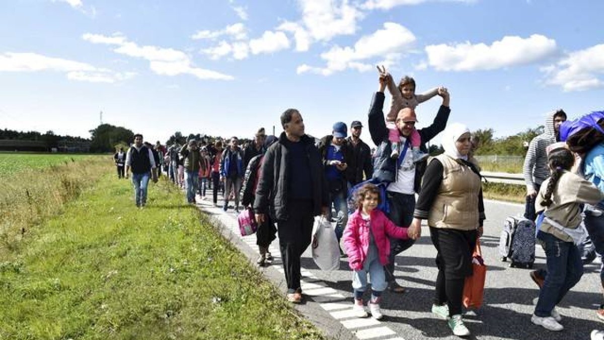 Un gran grupo de inmigrantes, sobretodo sirios, andan por una carretera en Dinamarca en dirección a Suecia, su destino.-REUTERS / SCANPIX DENMARK