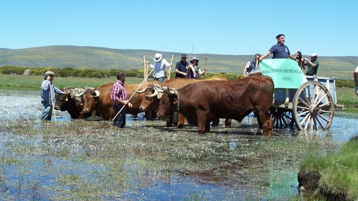 Fotos cedidas por la Cabaña de Carreteros de Gredos.