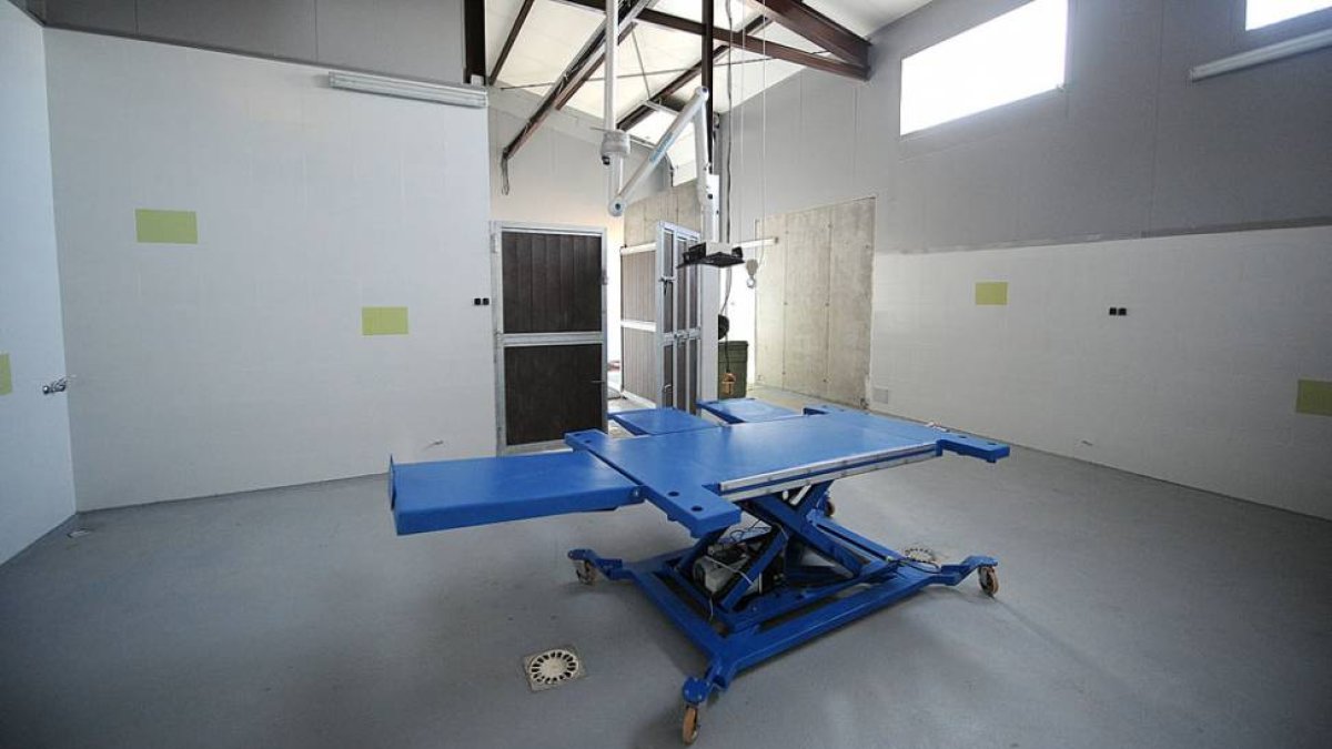 Vista del quirófano en el que se ubica la mesa de operaciones, al frente, los boxes de inducción y la piscina de recuperación, al fondo.-ISRAEL L. MURILLO