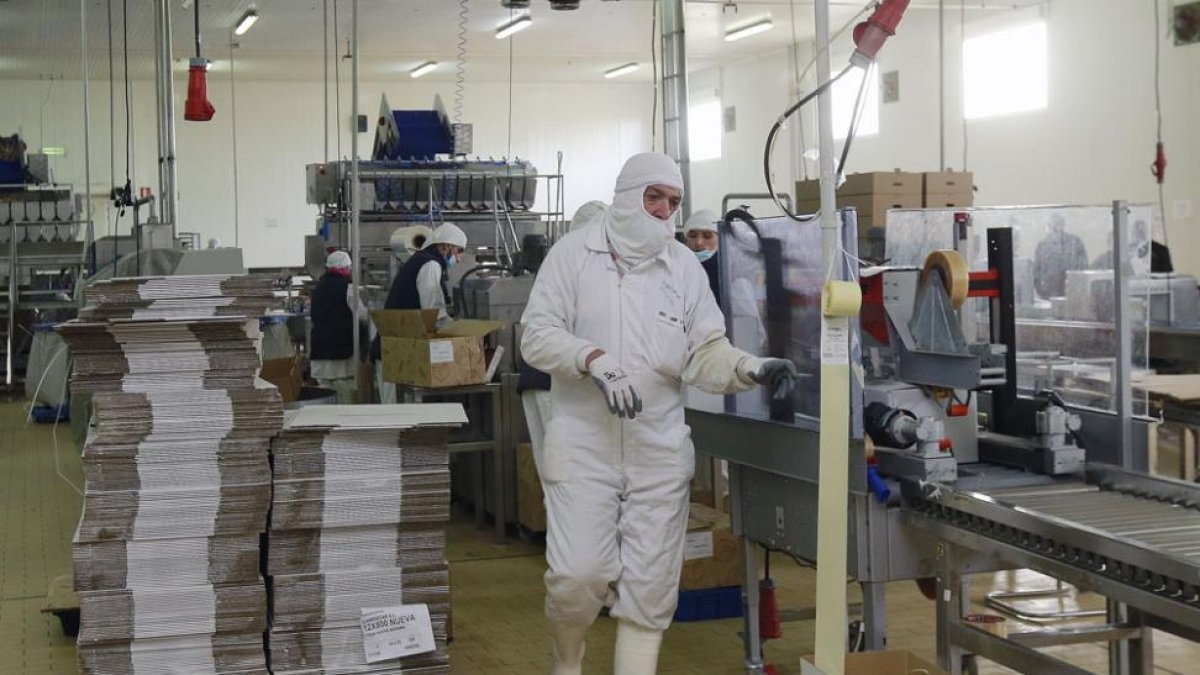 Instalaciones de la fábrica de mariscos congelados ubicada en la localidad de Valdorros.-RAÚL G. OCHOA