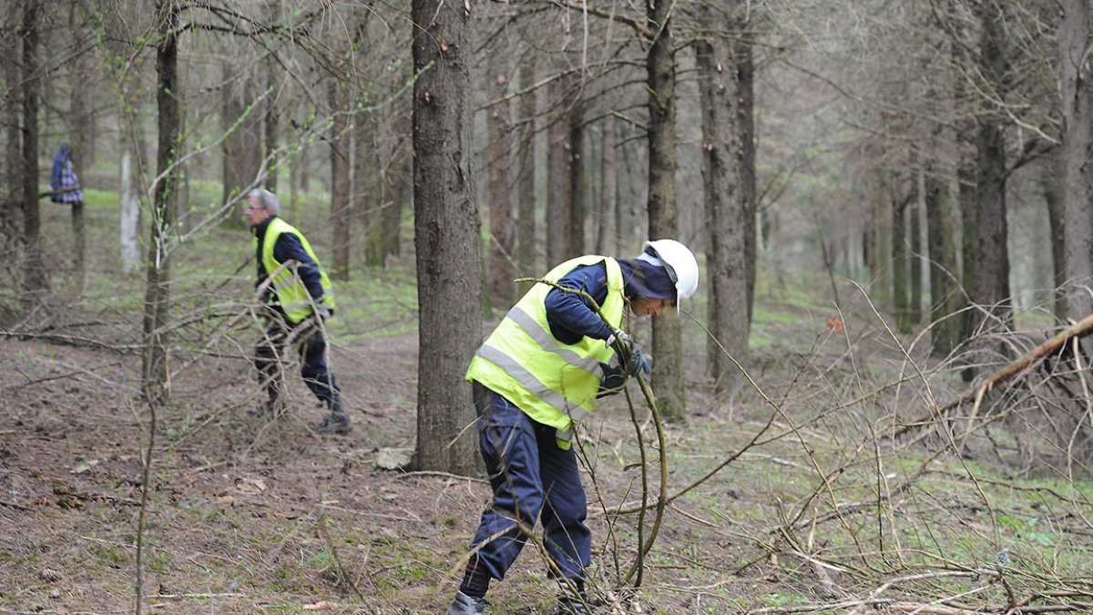 Dos operarios realizan labores de limpieza en el Cerro de San Miguel. ISRAEL L. MURILLO
