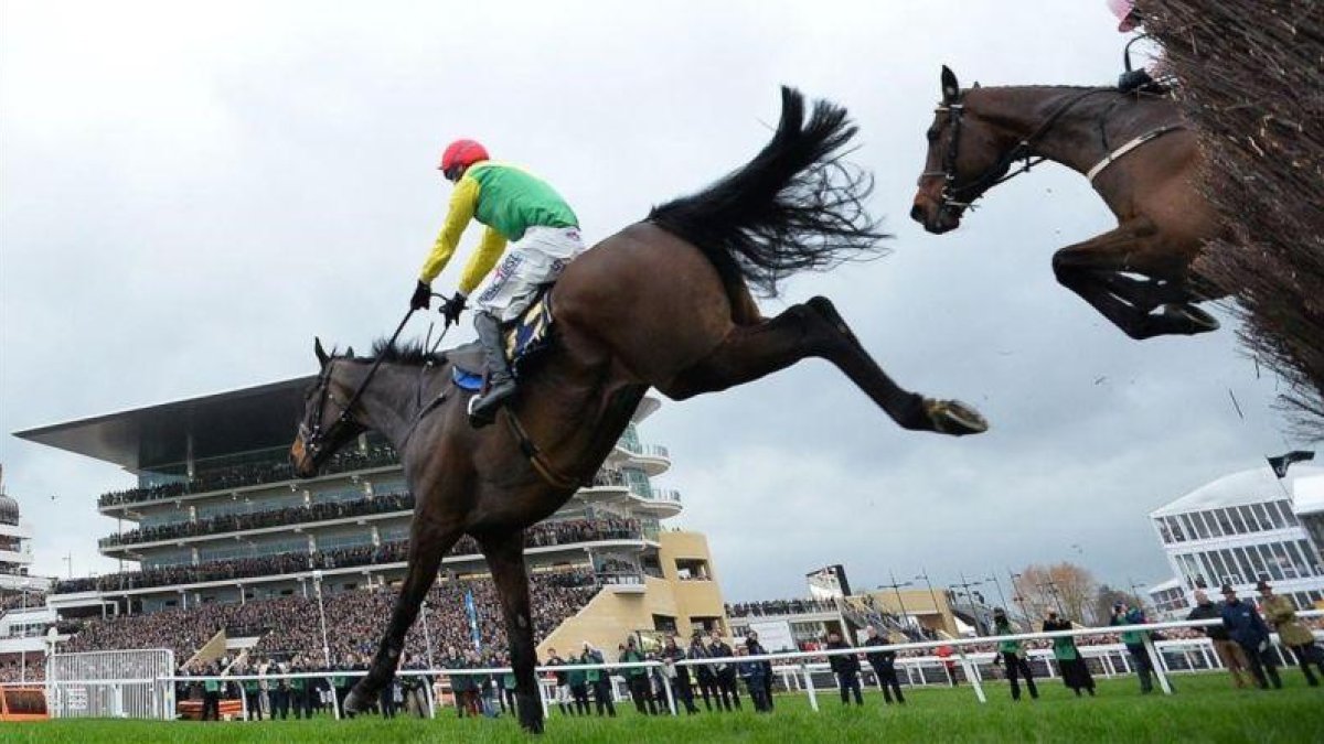 Sizing John, en la carrera que ganó en Cheltenham.-AFP / GLYN KIRK