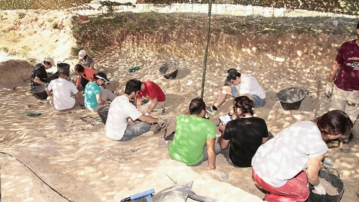 Los investigadores del Colectivo Salense (CAS) retomaron las excavaciones este verano en Torrelara.-ECB