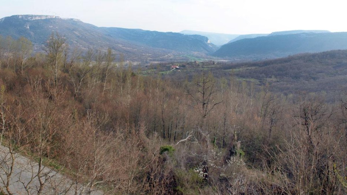 El Valle de Zamanzas es, junto a los de Valdebezana, Manzanedo y el cántabro de Bricia, algunos de los afectados por el proyecto Beza Bigüenzo que podría reiniciarse’.-ECB