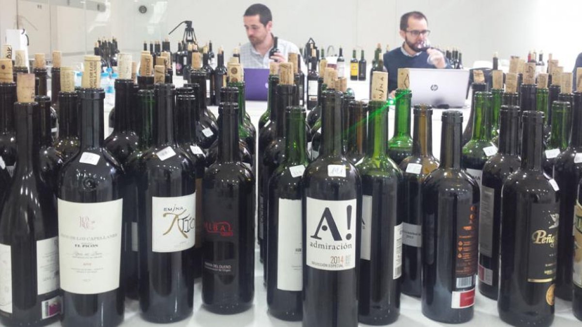 Los catadores evaluaron la calidad de las 700 muestras presentadas.-L.V.