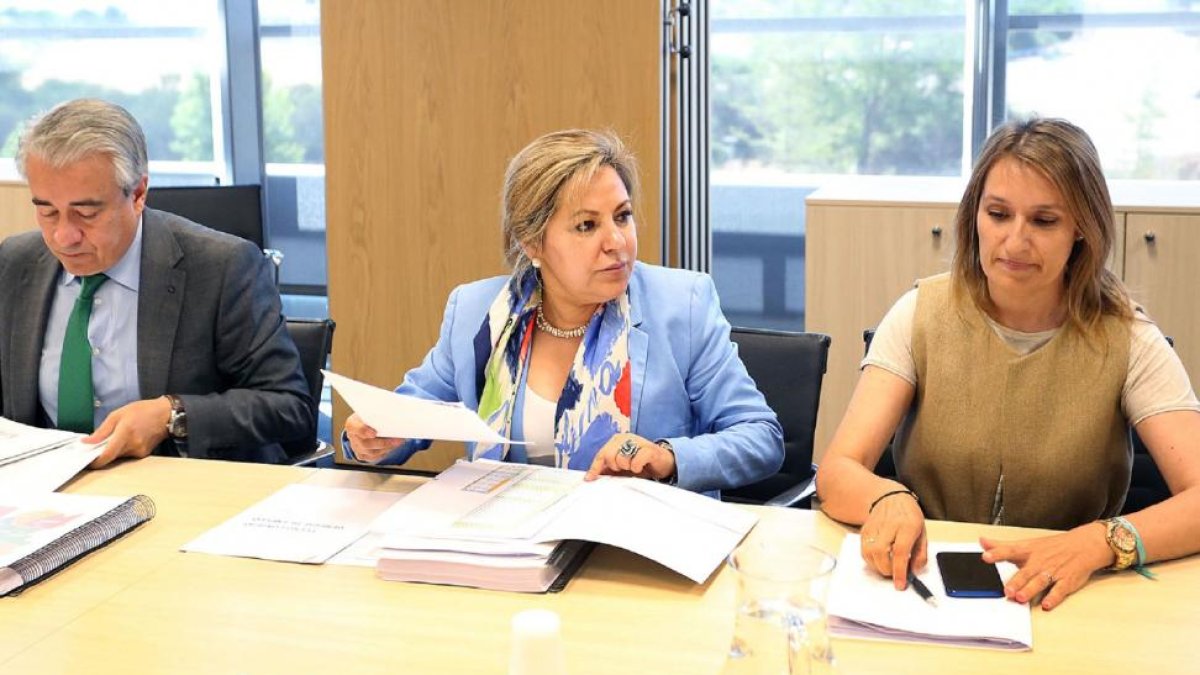La vicepresidenta y consejera de Empleo, Rosa Valdeón, presidió ayer la reunión del Consejo General de Empleo.-ICAL
