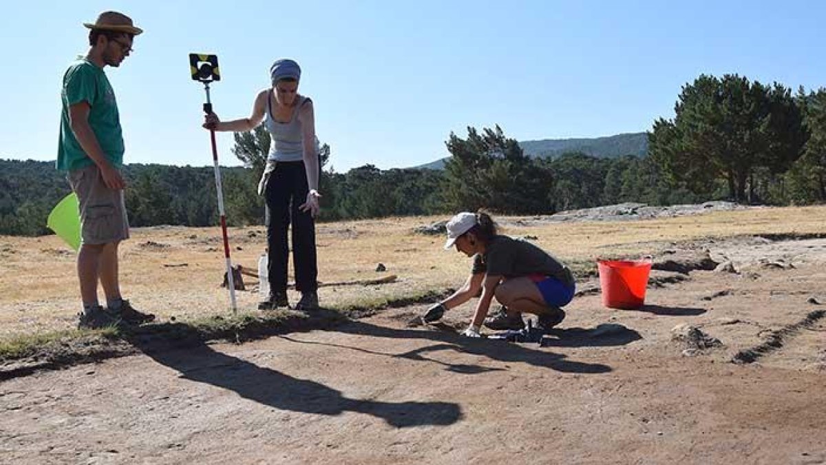 En los trabajos de este año han participado 5 voluntarios, ya que al igual que el pasado año se abrió la campaña a la participación del público.-ECB