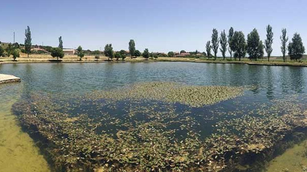 La laguna de ‘Las Brujas’ es conocida por estar envuelta en misteriosas leyendas.-ISRAEL L. MURILLO