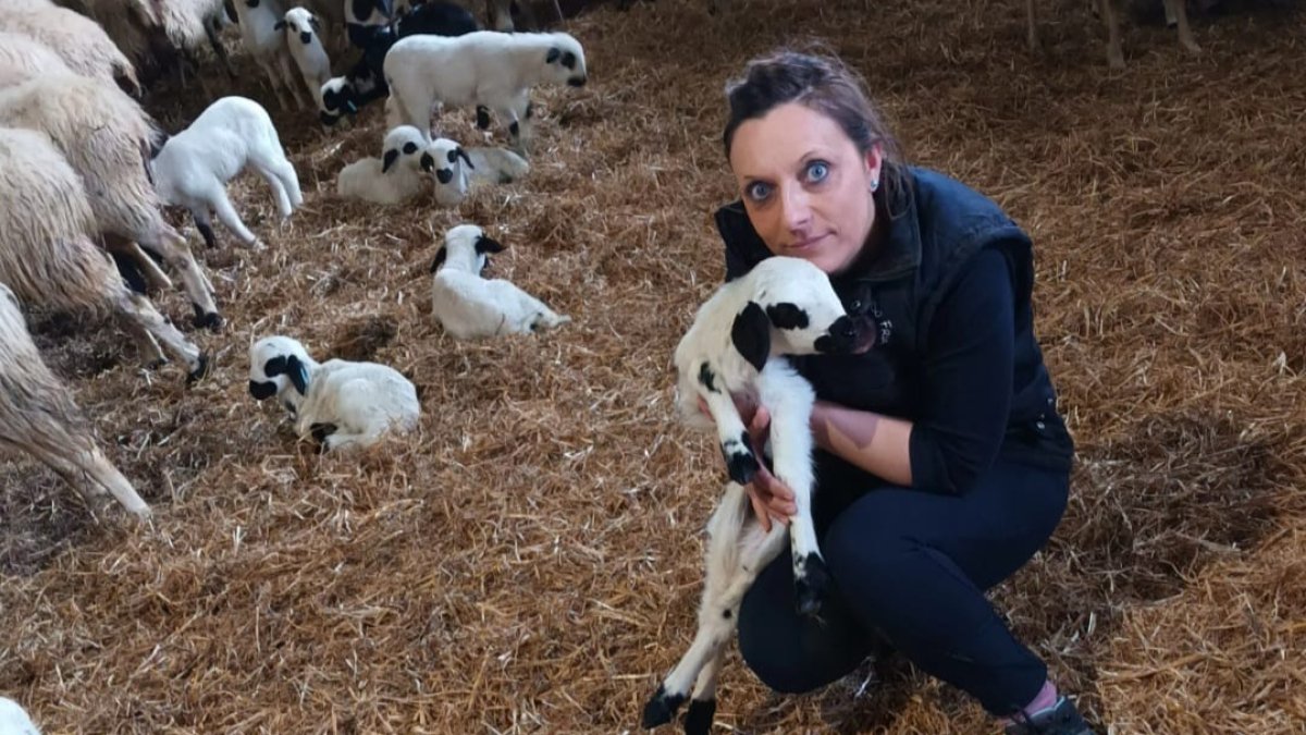 Los ganaderos insisten en defender la calidad del lechazo Churro IGP porque además de estar riquísimo, fija población en el medio rural y limpia los montes