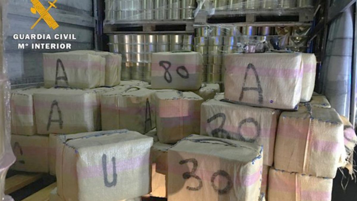 Paquetes de droga escondidos entre el cargamento de latas de conserva.-ECB