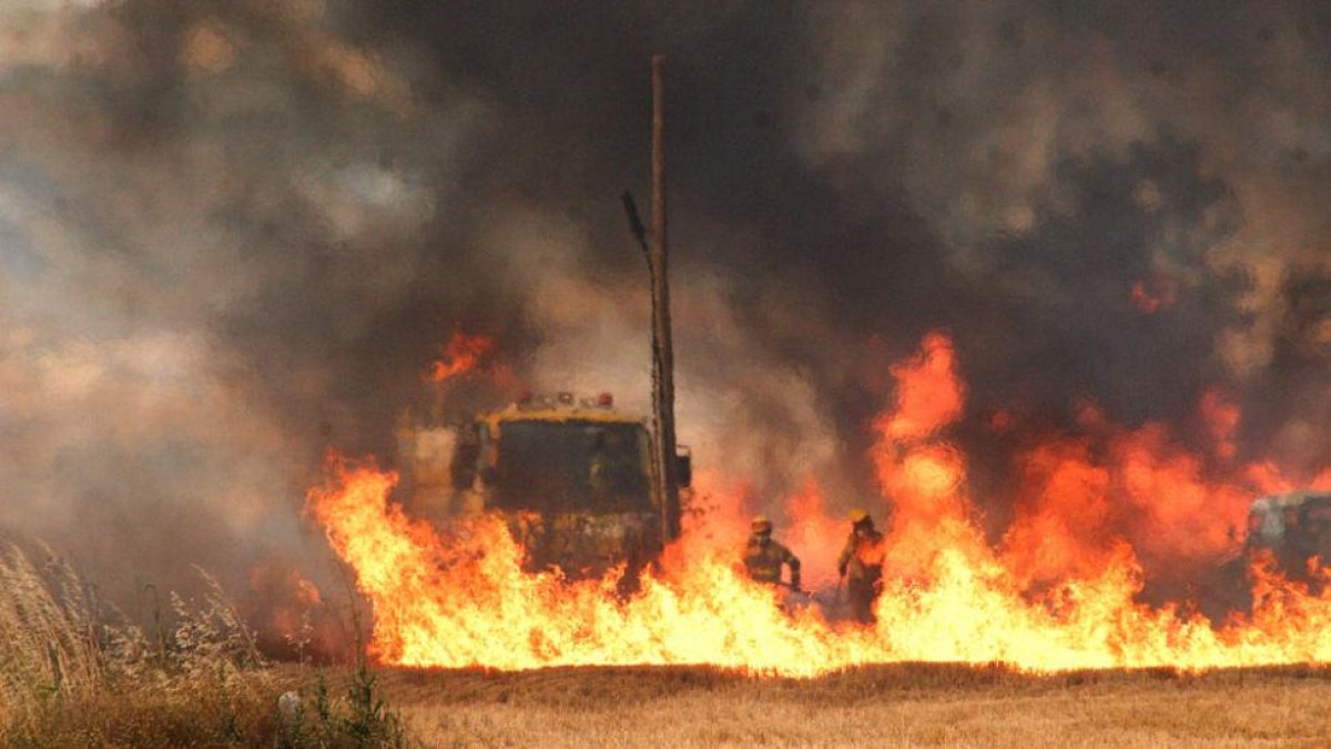 A pesar de su espectacularidad, el incendio arrasó terrenos de matorral y monte bajo, tras declararse en una zona agrícola.-G.G.
