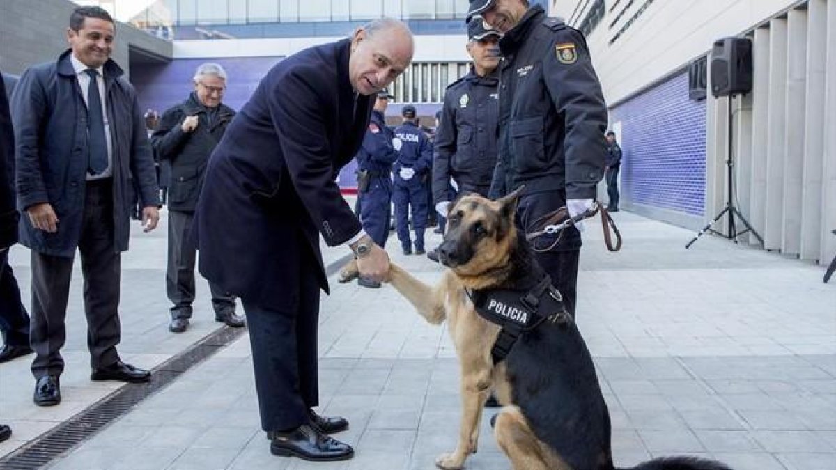 El ministro del Interior, Jorge Fernández Díaz , en el acto de concesión del uso de la bandera de España a la Jefatura Superior de Policía de Catalunya.-FERRAN NADEU