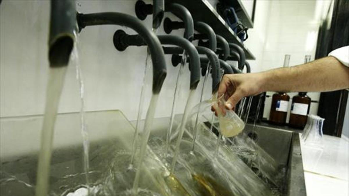 Análisis del agua en una planta de tratamiento de Agbar. /-RICARD CUGAT