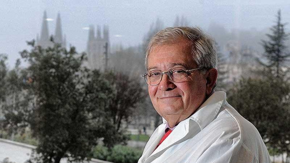 Alfredo Pérez-González director del Cenieh.-ISRAEL L. MURILLO