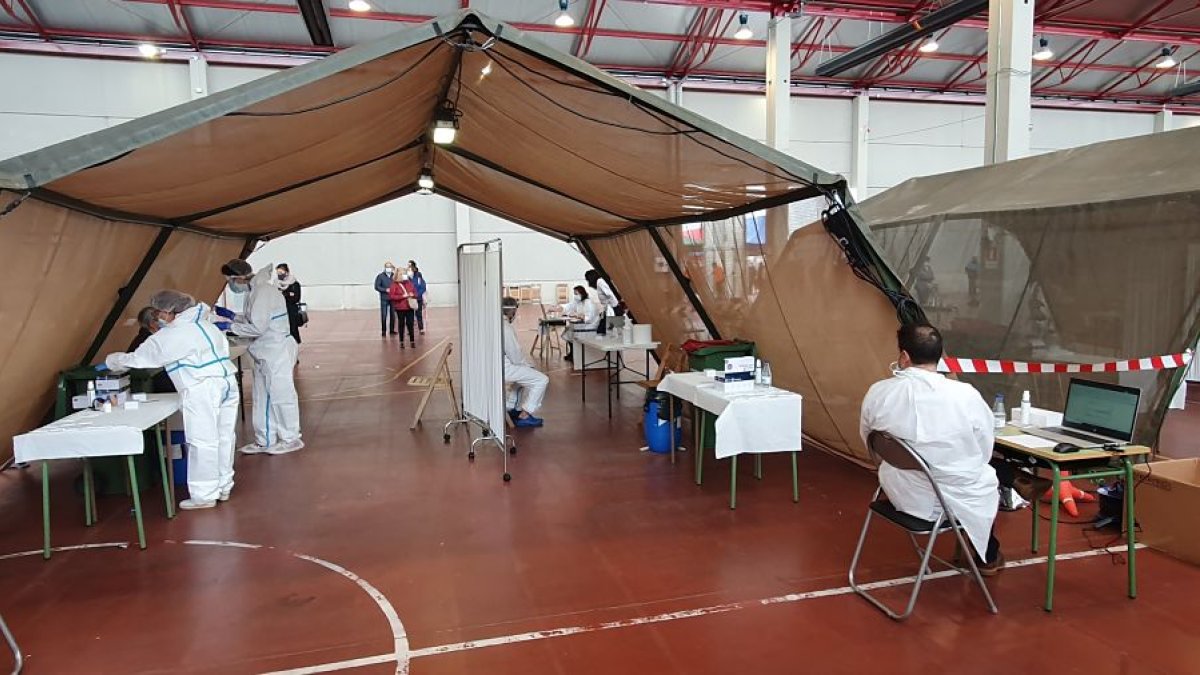 Varios sanitarios en el interior de una de las carpas montadas por el Ejército para estas pruebas rápidas. L. V.