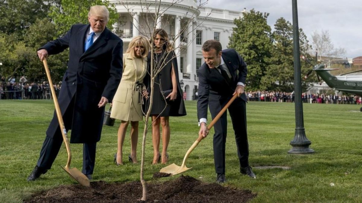 El presidente Donald Trump y su homólogo francés, Emmanuel Macron, plantan un árbol ante la presencia de sus esposas.-/ ANDREW HAMIK (AP)
