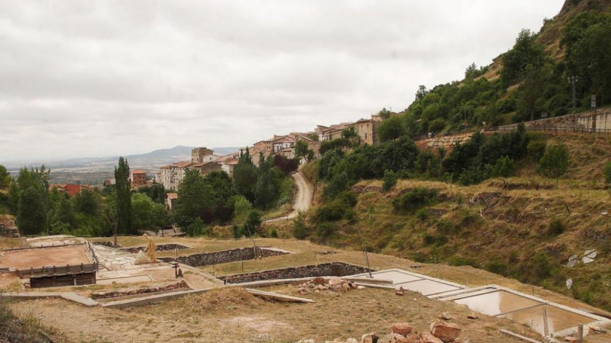 Los Amigos de las Salinas han dedicado de forma altruista dos jornadas completas al desbrozado de la zona.-G. G.