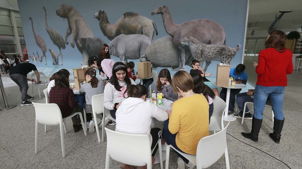 Un grupo de alumnos descubre las diferencias entre las bombillas led y las convencionales. FOTOS: RAÚL G. OCHOA